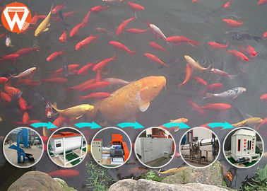 Enrede la máquina de proceso de alimentación de los pescados de la correa, proceso de fabricación de la comida de pescados 65KW